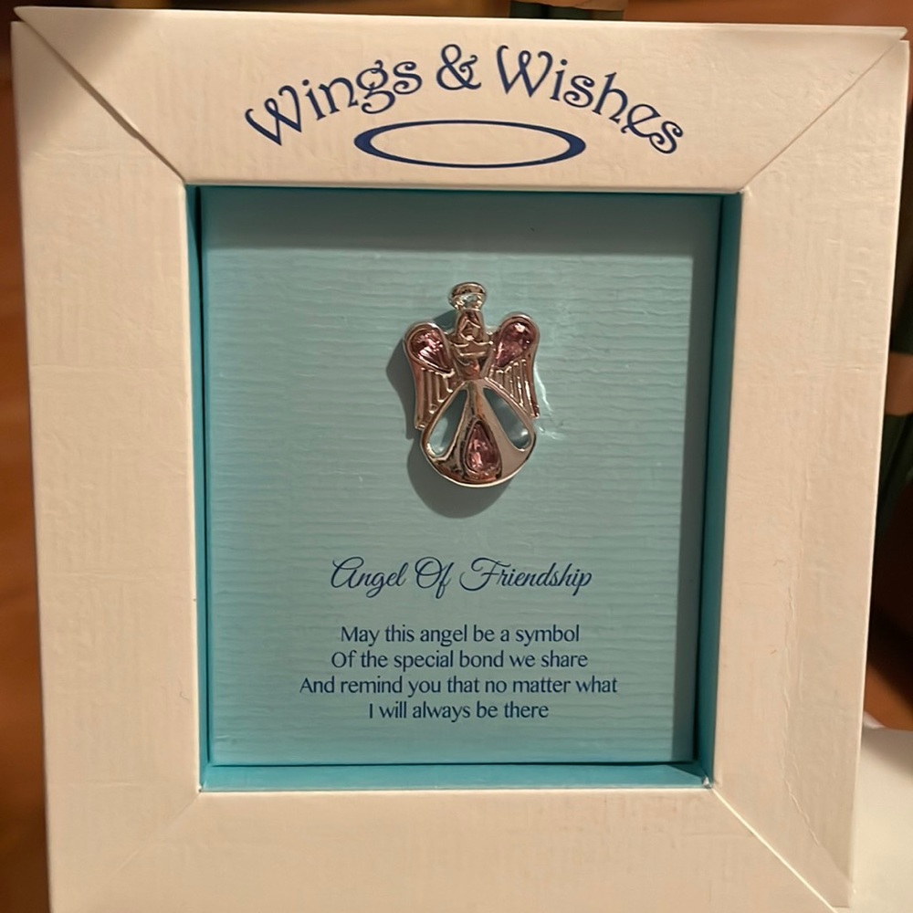 Wings & Wishes Angel of Friendship 😇🥰